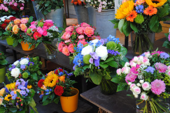 Картинка цветы разные+вместе разные букеты