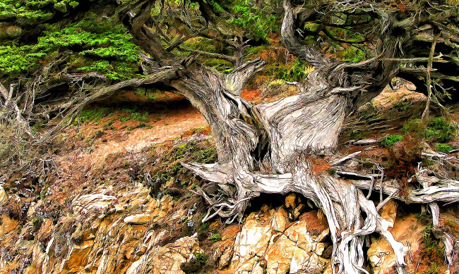 Обои картинки фото разное, компьютерный дизайн, корни, дерево
