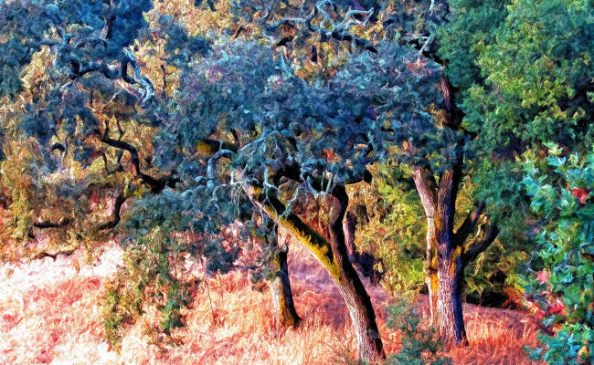 Обои картинки фото разное, компьютерный дизайн, лес, деревья, трава