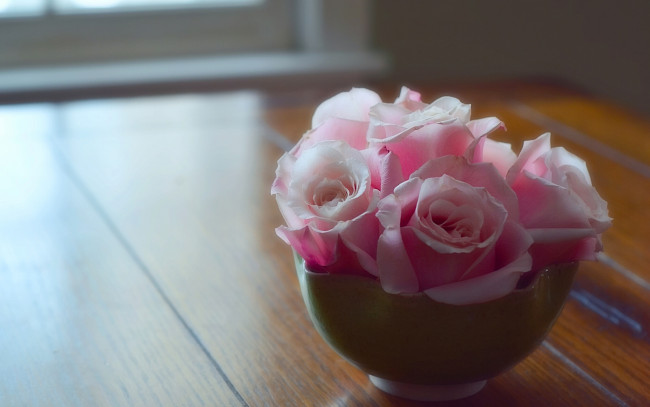 Обои картинки фото цветы, розы, на, полу, бутоны