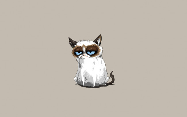 Обои картинки фото grumpy cat, рисованные, минимализм, хмурый, кот, tardar, sauce, сердитый, котик, grumpy, cat