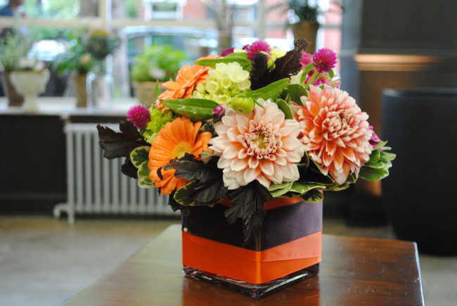 Обои картинки фото цветы, букеты,  композиции, георгины, букет, циннея