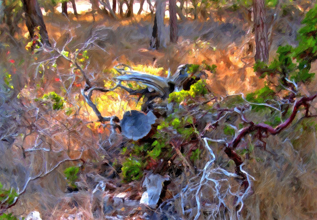 Обои картинки фото рисованные, природа, лес, деревья, ветки