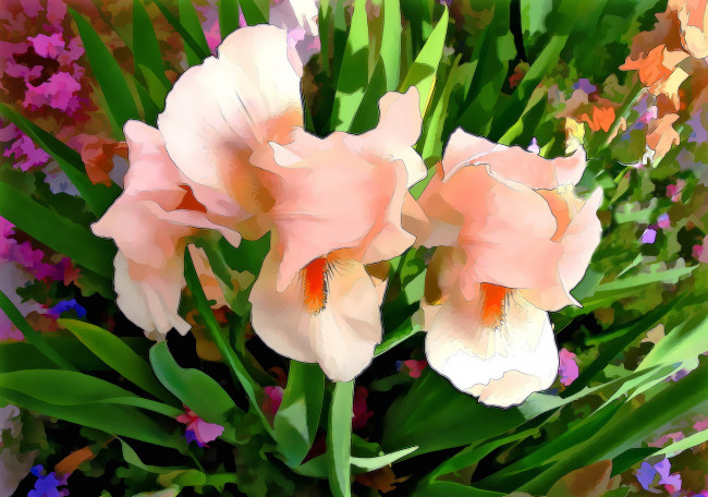 Обои картинки фото разное, компьютерный дизайн, ирисы, цветы