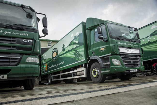 Обои картинки фото автомобили, daf, cf, 310, cab, day, uk-spec, fa, 2013г