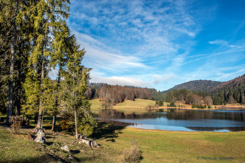 Картинка природа реки озера простор