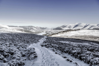 Картинка природа зима снег