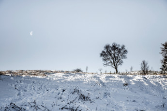 Картинка природа зима снег