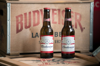 обоя бренды, budweiser, пиво