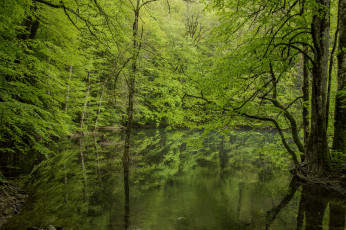 Картинка природа реки озера простор