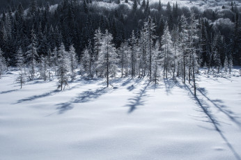 Картинка природа зима простор