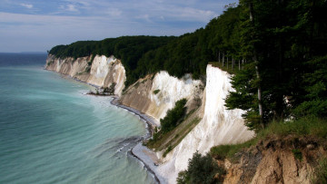 Картинка природа побережье вода берег лес