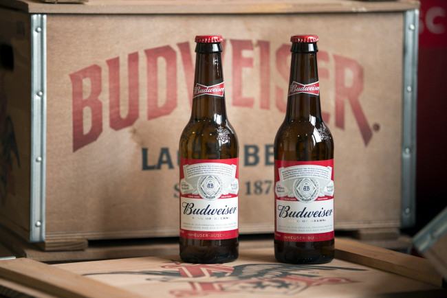 Обои картинки фото бренды, budweiser, пиво