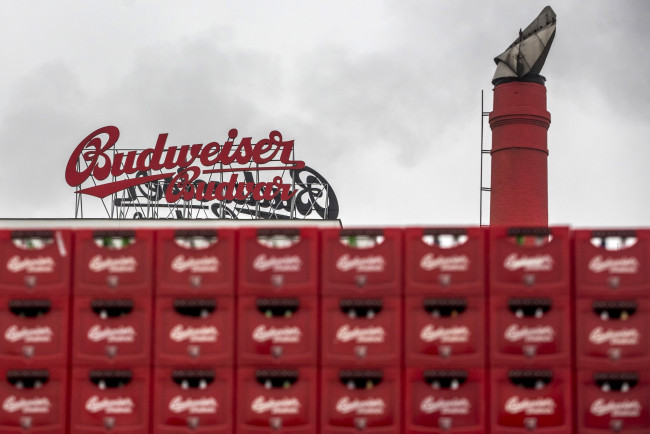 Обои картинки фото бренды, budweiser, пиво