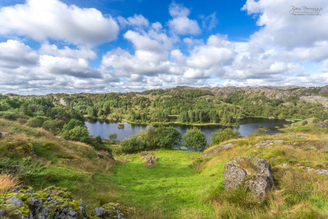 Обои картинки фото природа, пейзажи, простор