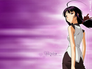 Картинка аниме love hina