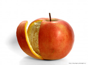 Картинка юмор приколы