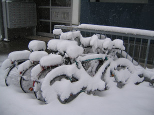 Картинка техника велосипеды