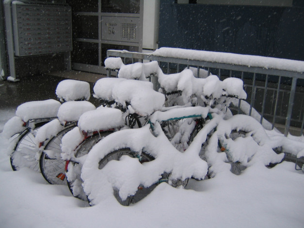 Обои картинки фото техника, велосипеды