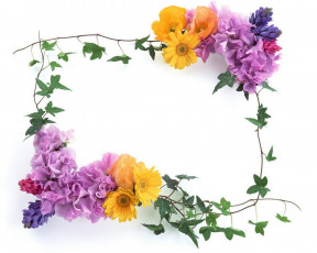 Картинка цветы разные вместе