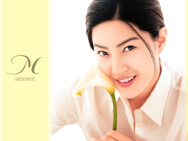Обои картинки фото mesonie, бренды
