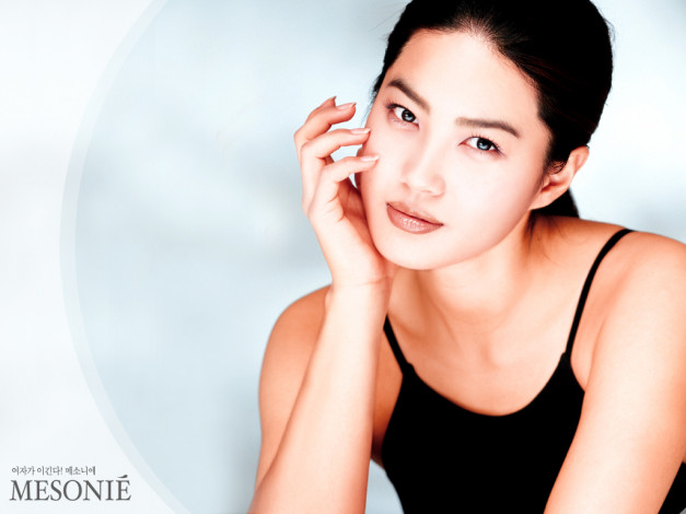 Обои картинки фото mesonie, бренды