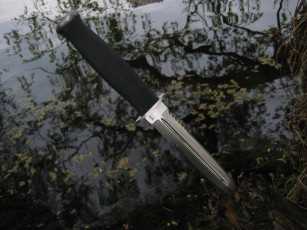 Картинка оружие холодное