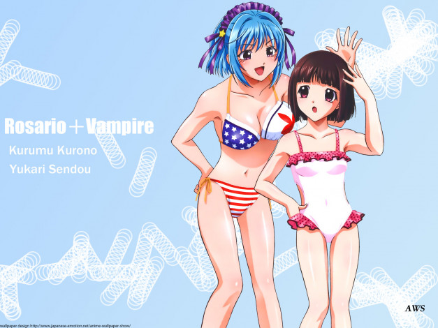 Обои картинки фото аниме, rosario, vampire
