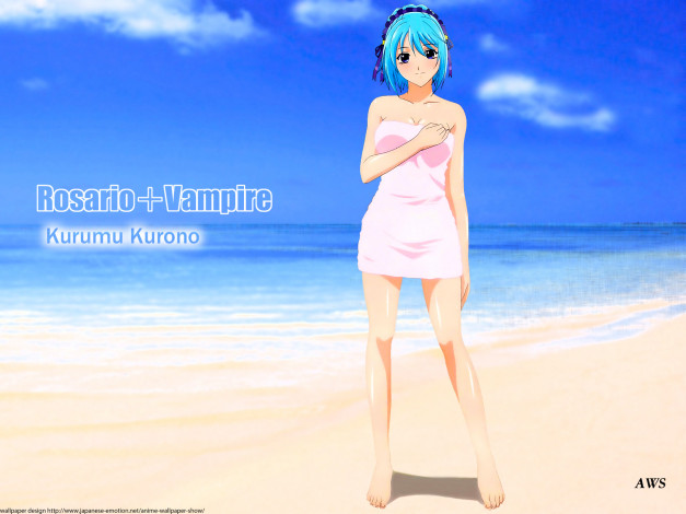 Обои картинки фото аниме, rosario, vampire