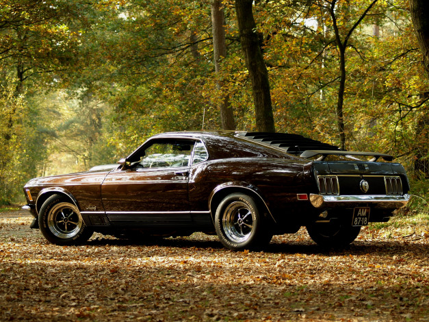 Обои картинки фото автомобили, mustang