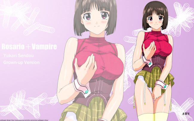Обои картинки фото аниме, rosario, vampire