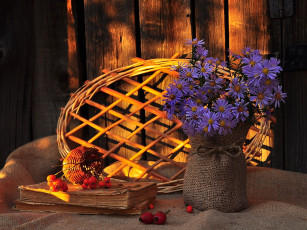 Картинка авт putevodnaya цветы астры