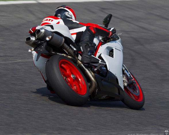 Обои картинки фото мотоциклы, ducati