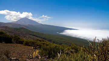 Картинка природа горы облака лес