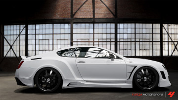 Картинка видео игры forza motorsport