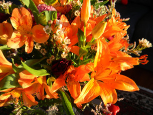 Картинка цветы альстромерия