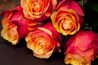 Картинка цветы розы бутоны