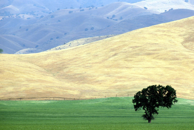 Обои картинки фото природа, горы, изгородь, дерево, поля