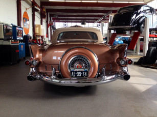 Картинка 1955+cadillac автомобили выставки+и+уличные+фото бампер номер запаска авто