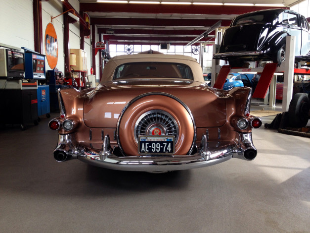 Обои картинки фото 1955 cadillac, автомобили, выставки и уличные фото, бампер, номер, запаска, авто