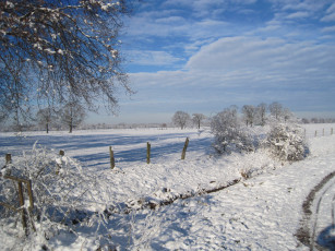 Картинка природа зима снег