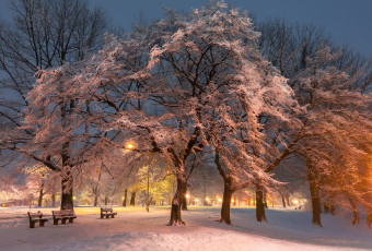 Картинка природа зима парк снег