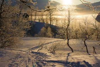 Картинка природа зима снег