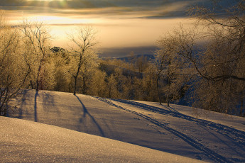 Картинка природа зима снег