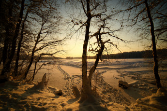 Картинка природа зима снег