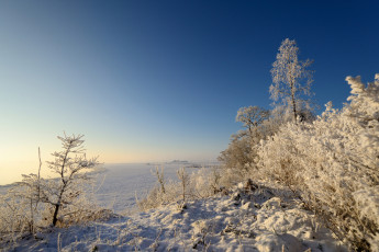 Картинка природа зима снег