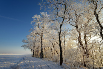 Картинка природа зима снег