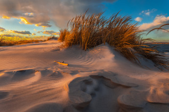 Картинка природа побережье дюны