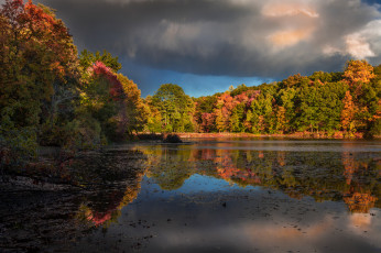 Картинка природа реки озера лес река