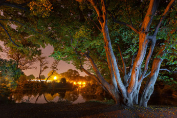 Картинка природа реки озера река лес